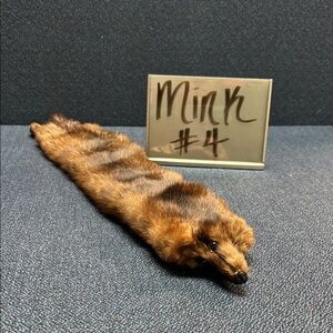 99 Mink Fur Pelt Choice 4